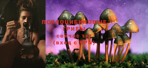 мяу мяу мука Семилуки