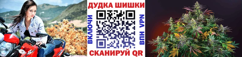 Купить  Коркино  Канабис Amnesia 